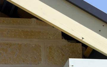 soffit repair Plain Dealings