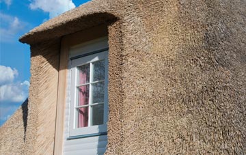 Plain Dealings thatch roof disadvantages