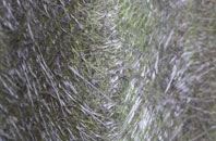 Plain Dealings fibreglass roof work